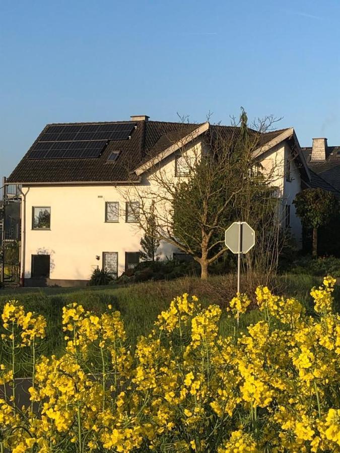 Ferienwohnung Auf Dem Maifeld Gappenach المظهر الخارجي الصورة